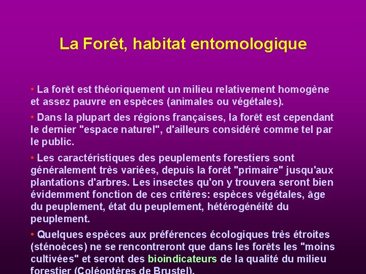 La Forêt, habitat entomologique • La forêt est théoriquement un milieu relativement homogène et