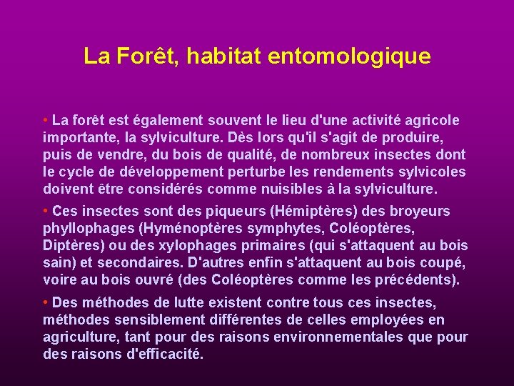 La Forêt, habitat entomologique • La forêt est également souvent le lieu d'une activité