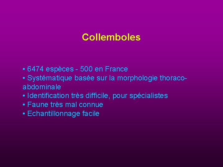 Collemboles • 6474 espèces - 500 en France • Systématique basée sur la morphologie