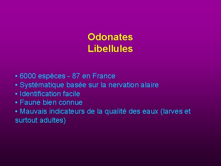 Odonates Libellules • 6000 espèces - 87 en France • Systématique basée sur la