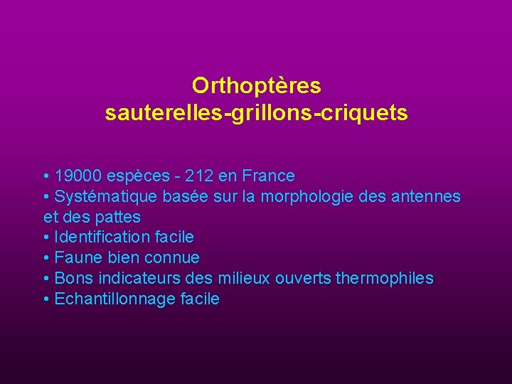 Orthoptères sauterelles-grillons-criquets • 19000 espèces - 212 en France • Systématique basée sur la