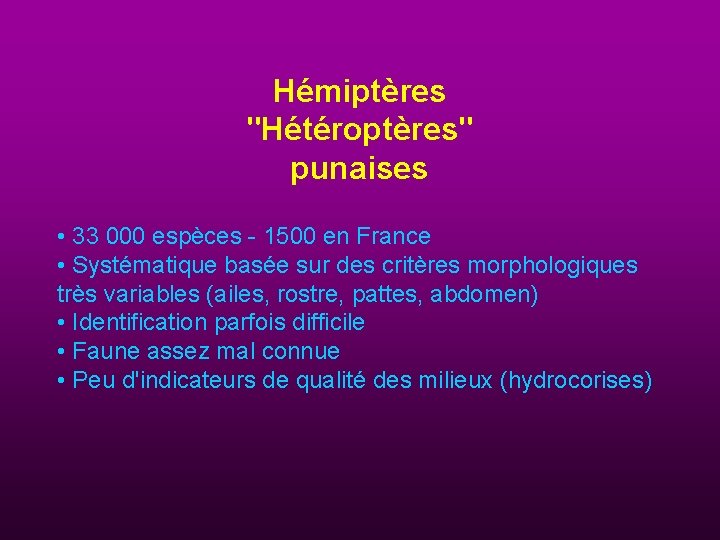 Hémiptères "Hétéroptères" punaises • 33 000 espèces - 1500 en France • Systématique basée