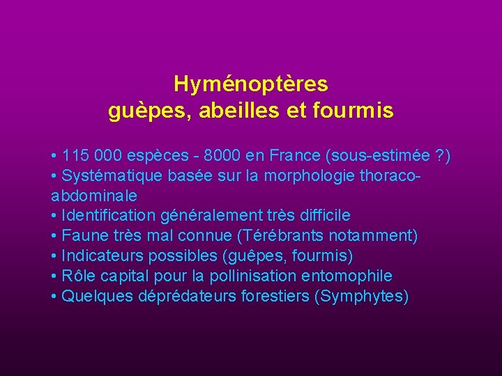 Hyménoptères guèpes, abeilles et fourmis • 115 000 espèces - 8000 en France (sous-estimée