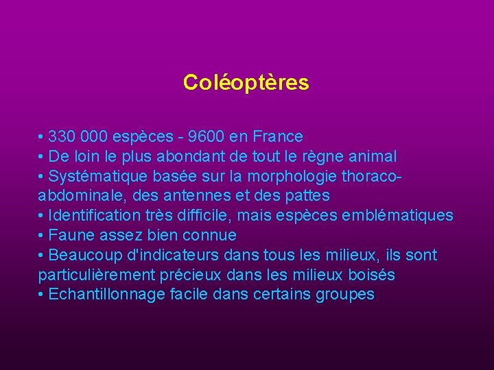 Coléoptères • 330 000 espèces - 9600 en France • De loin le plus