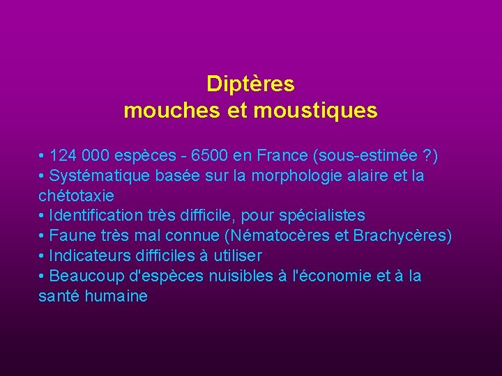 Diptères mouches et moustiques • 124 000 espèces - 6500 en France (sous-estimée ?
