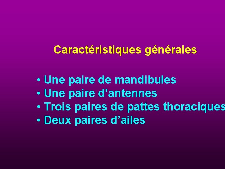 Caractéristiques générales • Une paire de mandibules • Une paire d’antennes • Trois paires