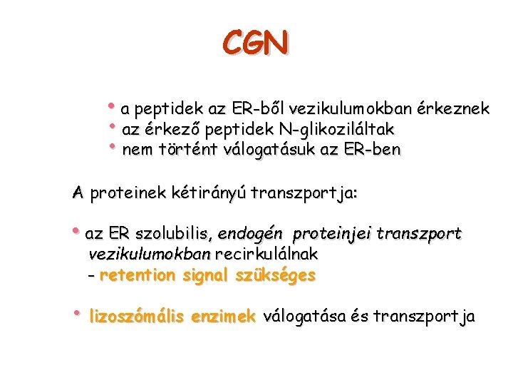 CGN • a peptidek az ER-ből vezikulumokban érkeznek • az érkező peptidek N-glikoziláltak •