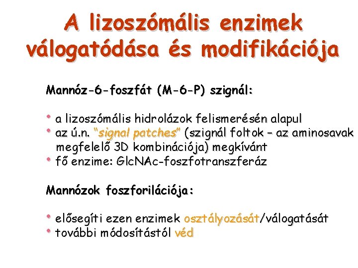 A lizoszómális enzimek válogatódása és modifikációja Mannóz-6 -foszfát (M-6 -P) szignál: • a lizoszómális