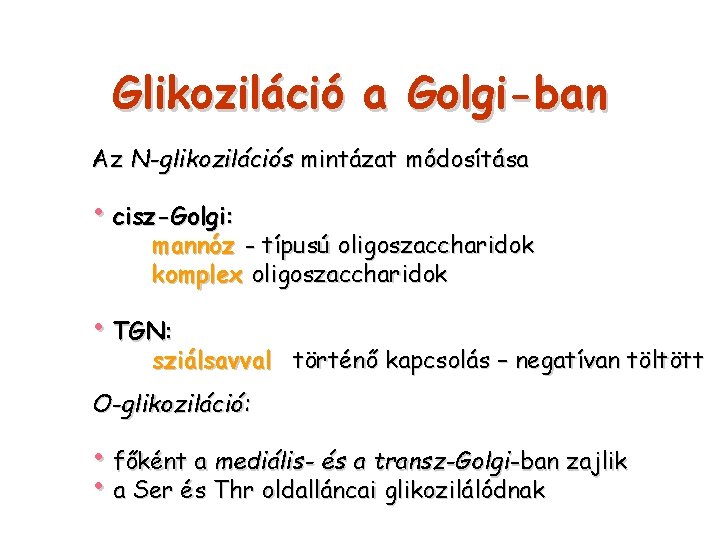 Glikoziláció a Golgi-ban Az N-glikozilációs mintázat módosítása • cisz-Golgi: mannóz - típusú oligoszaccharidok komplex