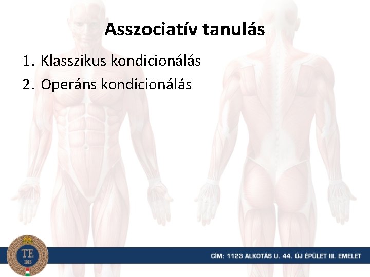 Asszociatív tanulás 1. Klasszikus kondicionálás 2. Operáns kondicionálás 