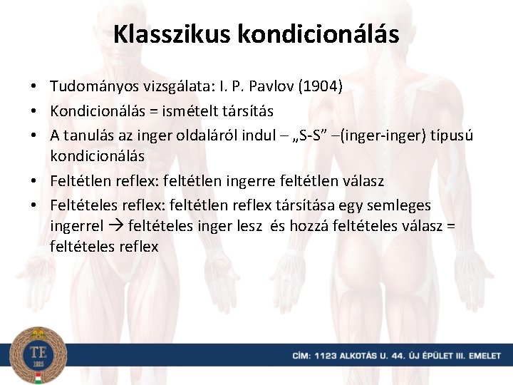 Klasszikus kondicionálás • Tudományos vizsgálata: I. P. Pavlov (1904) • Kondicionálás = ismételt társítás