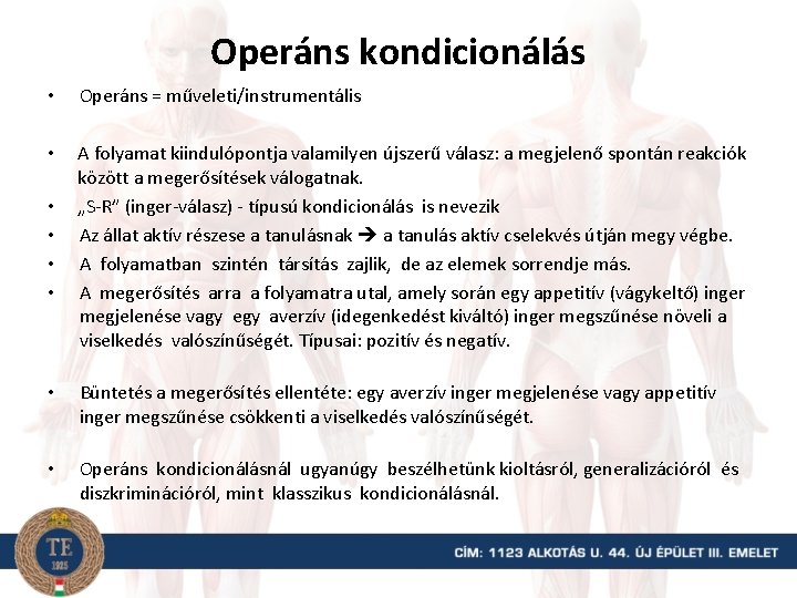 Operáns kondicionálás • Operáns = műveleti/instrumentális • A folyamat kiindulópontja valamilyen újszerű válasz: a