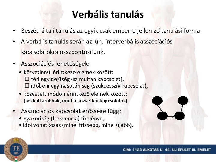 Verbális tanulás • Beszéd általi tanulás az egyik csak emberre jellemző tanulási forma. •