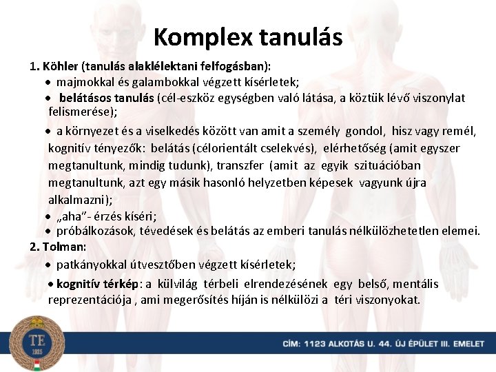 Komplex tanulás 1. Köhler (tanulás alaklélektani felfogásban): majmokkal és galambokkal végzett kísérletek; belátásos tanulás