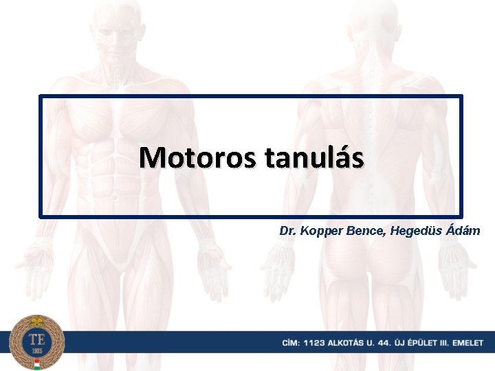 Motoros tanulás Dr. Kopper Bence, Hegedüs Ádám 