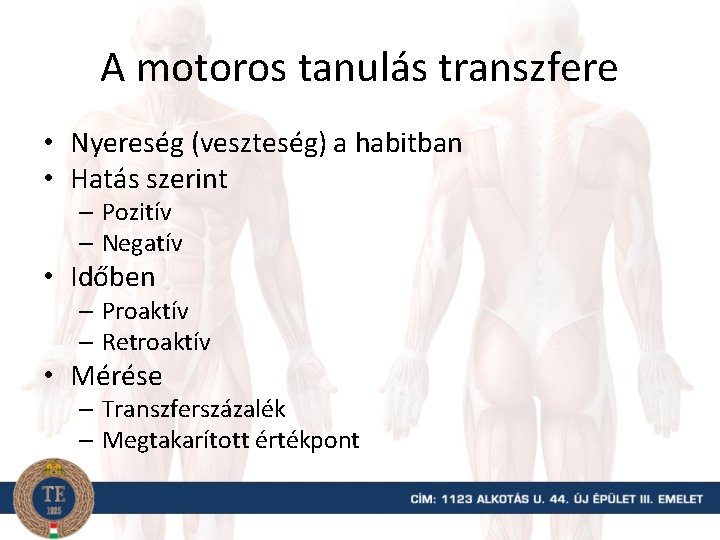 A motoros tanulás transzfere • Nyereség (veszteség) a habitban • Hatás szerint – Pozitív