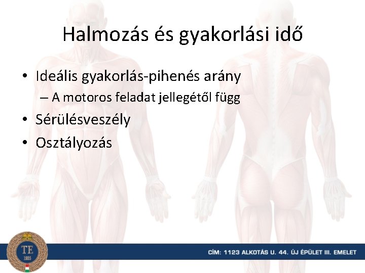 Halmozás és gyakorlási idő • Ideális gyakorlás-pihenés arány – A motoros feladat jellegétől függ