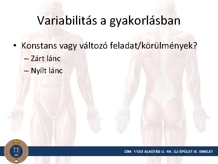 Variabilitás a gyakorlásban • Konstans vagy változó feladat/körülmények? – Zárt lánc – Nyílt lánc