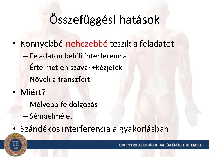 Összefüggési hatások • Könnyebbé-nehezebbé teszik a feladatot – Feladaton belüli interferencia – Értelmetlen szavak+kézjelek