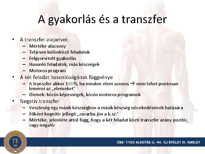 A gyakorlás és a transzfer • A transzfer alapelvei: – – – Mértéke alacsony