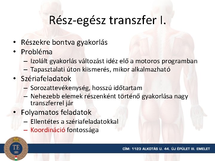 Rész-egész transzfer I. • Részekre bontva gyakorlás • Probléma – Izolált gyakorlás változást idéz