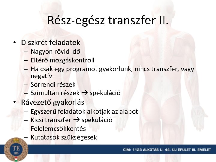 Rész-egész transzfer II. • Diszkrét feladatok – Nagyon rövid idő – Eltérő mozgáskontroll –