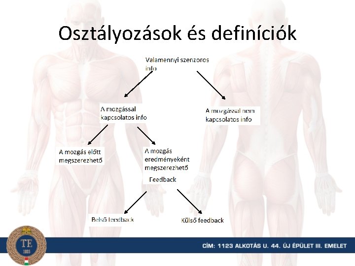 Osztályozások és definíciók 