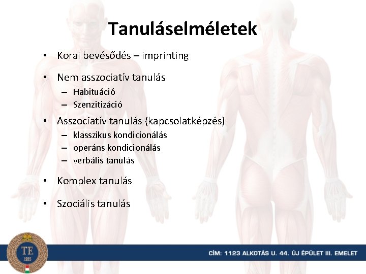 Tanuláselméletek • Korai bevésődés – imprinting • Nem asszociatív tanulás – Habituáció – Szenzitizáció