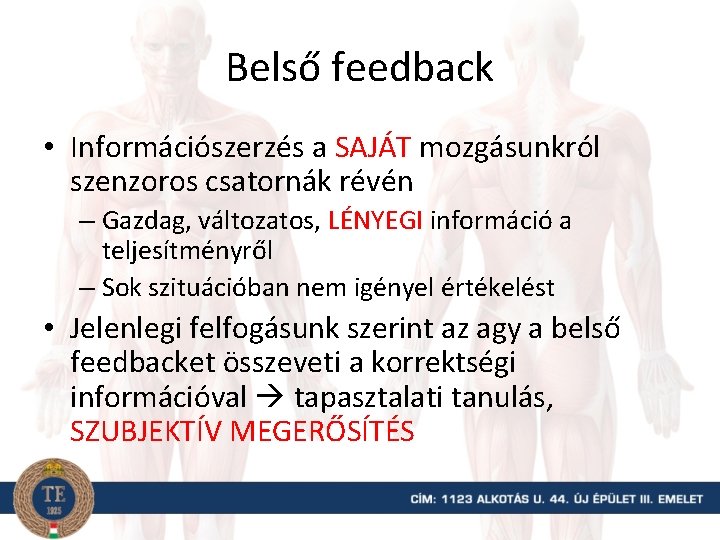 Belső feedback • Információszerzés a SAJÁT mozgásunkról szenzoros csatornák révén – Gazdag, változatos, LÉNYEGI
