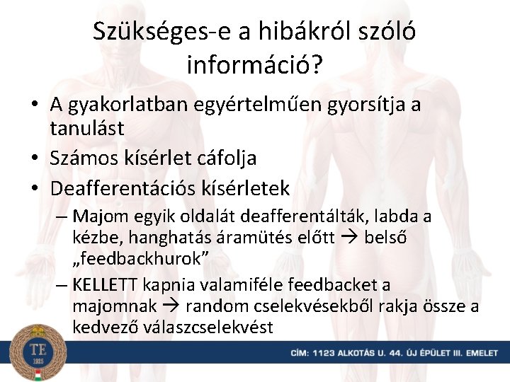 Szükséges-e a hibákról szóló információ? • A gyakorlatban egyértelműen gyorsítja a tanulást • Számos