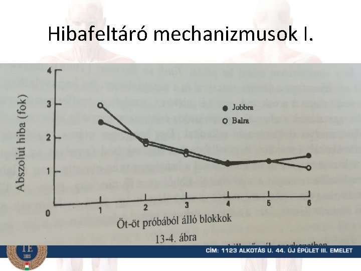 Hibafeltáró mechanizmusok I. • Solley – Motorizált szék, melyet oldalra kibillentenek 30 fokkal és