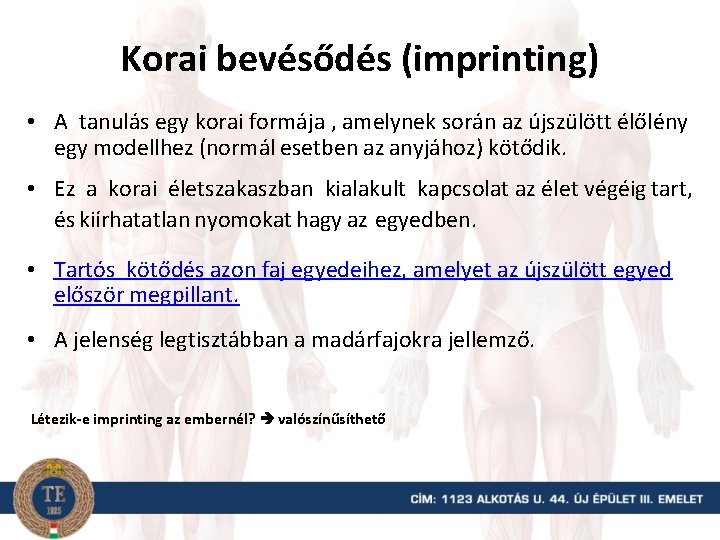 Korai bevésődés (imprinting) • A tanulás egy korai formája , amelynek során az újszülött