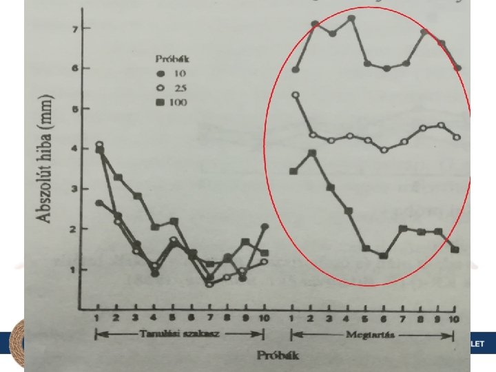 Relatív és abszolút gyakorisági hatásfok II. • Johnson, Wicks és Ben-Sira – Hasonló kutatás