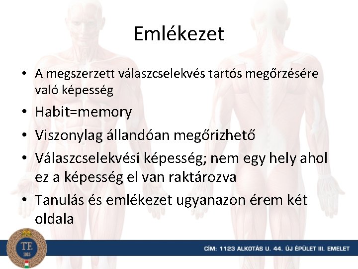 Emlékezet • A megszerzett válaszcselekvés tartós megőrzésére való képesség • Habit=memory • Viszonylag állandóan