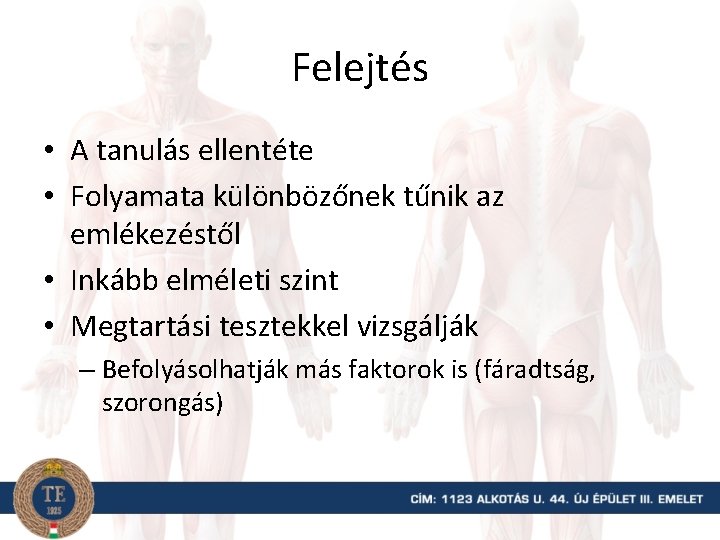 Felejtés • A tanulás ellentéte • Folyamata különbözőnek tűnik az emlékezéstől • Inkább elméleti