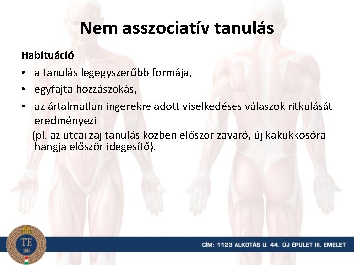 Nem asszociatív tanulás Habituáció • a tanulás legegyszerűbb formája, • egyfajta hozzászokás, • az