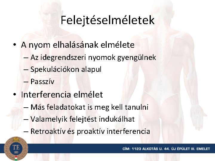 Felejtéselméletek • A nyom elhalásának elmélete – Az idegrendszeri nyomok gyengülnek – Spekulációkon alapul