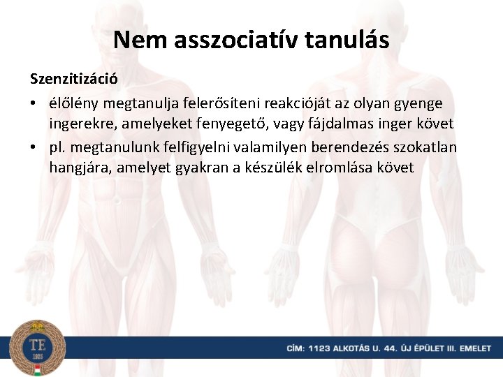 Nem asszociatív tanulás Szenzitizáció • élőlény megtanulja felerősíteni reakcióját az olyan gyenge ingerekre, amelyeket