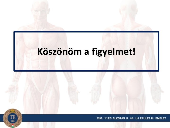 Köszönöm a figyelmet! 