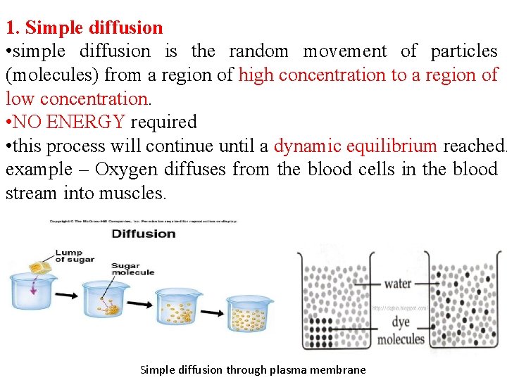 1. Simple diffusion • simple diffusion is the random movement of particles (molecules) from