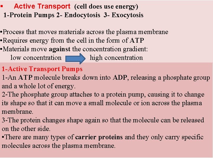 § Active Transport (cell does use energy) 1 -Protein Pumps 2 - Endocytosis 3