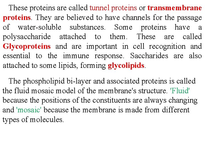  These proteins are called tunnel proteins or transmembrane proteins. They are believed to