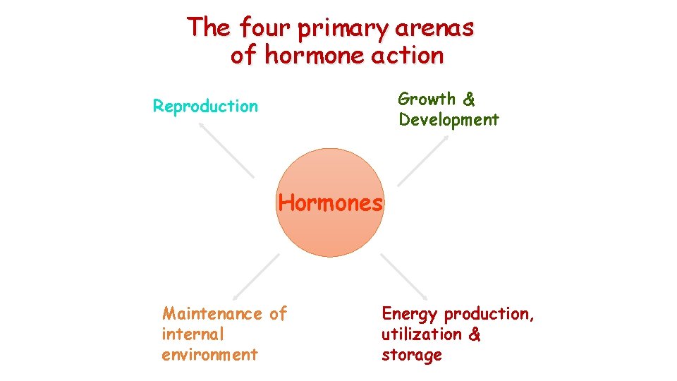 The four primary arenas of hormone action Growth & Development Reproduction Hormones Maintenance of