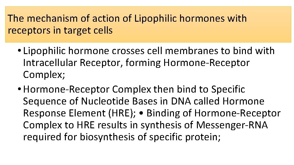 The mechanism of action of Lipophilic hormones with receptors in target cells • Lipophilic