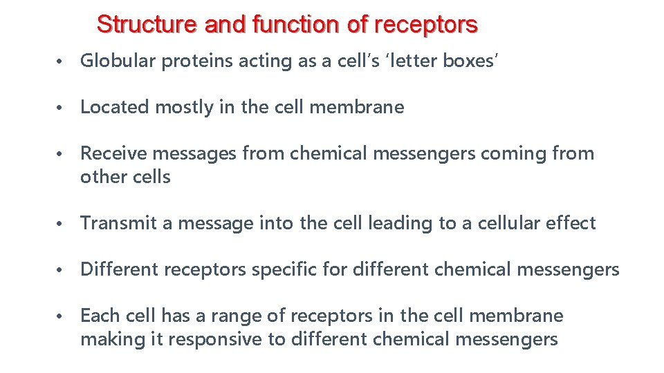 Structure and function of receptors • Globular proteins acting as a cell’s ‘letter boxes’