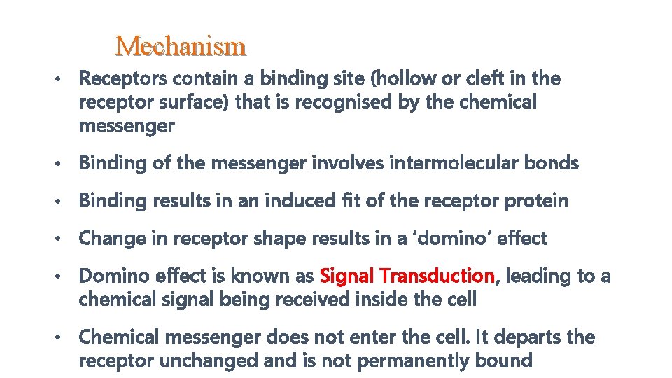 Mechanism • Receptors contain a binding site (hollow or cleft in the receptor surface)