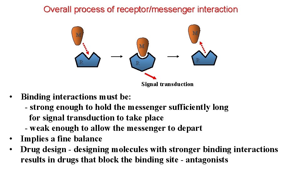 Overall process of receptor/messenger interaction M M M RE RE R Signal transduction •