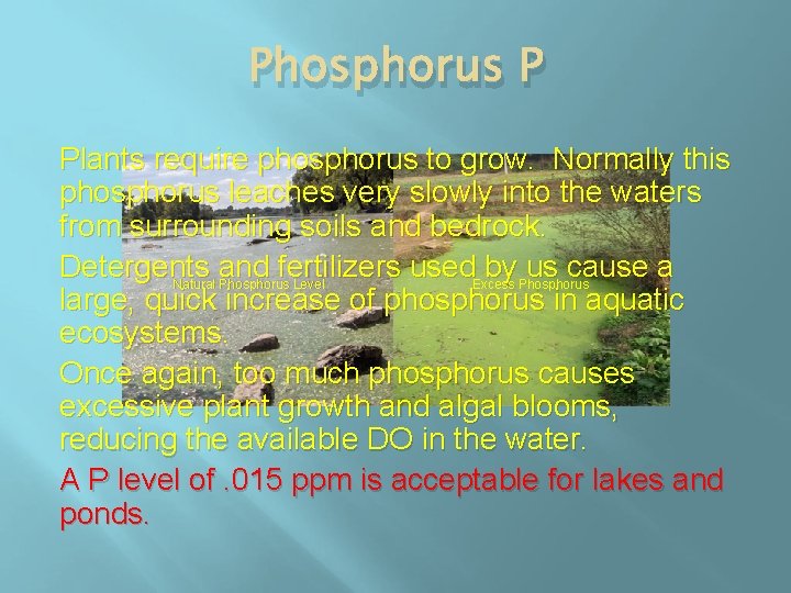 Phosphorus P Plants require phosphorus to grow. Normally this phosphorus leaches very slowly into