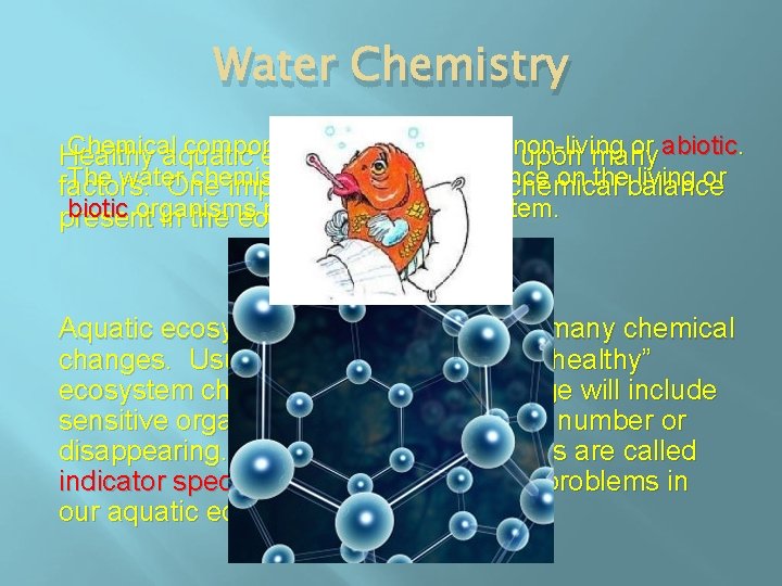 Water Chemistry Chemical components are considered or abiotic. Healthy aquatic ecosystems dependnon-living upon many