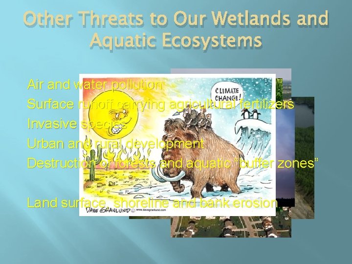 Other Threats to Our Wetlands and Aquatic Ecosystems Air and water pollution Surface runoff